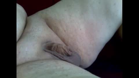 micropimmel online show from 11-02-25, 01:02