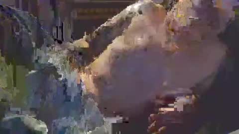 middle123456783939 online show from 09-11-25, 06:52