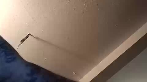 Snapshot of mike3333me chatting on 10-11-25, 12:32 mike3333me online show from 10-11-25, 12:32