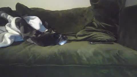 Snapshot of mike_davis44444 chatting on 01-31-25, 07:07 mike_davis44444 online show from 01-31-25, 07:07