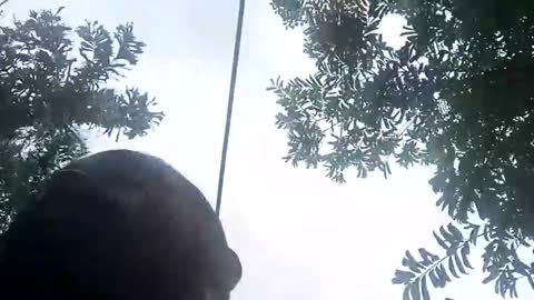 miky17cm online show from 01-12-26, 07:41