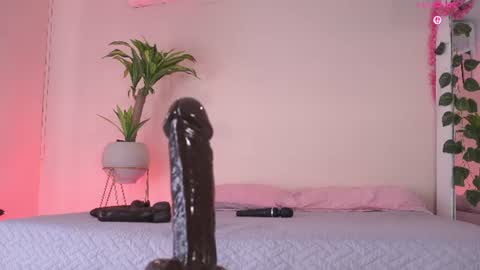    online show from 06-24-26, 02:38