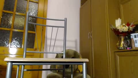 Im  to see you here Pvts are open  I love patterns soo much online show from 12-04-24, 06:11