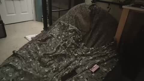 milky479 online show from 03-09-26, 08:40