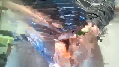  Milymen26  Polish man  master  fereskik straight mature online show from 01-13-26, 11:32