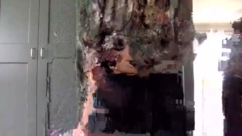 mince_alors online show from 11-24-25, 05:34