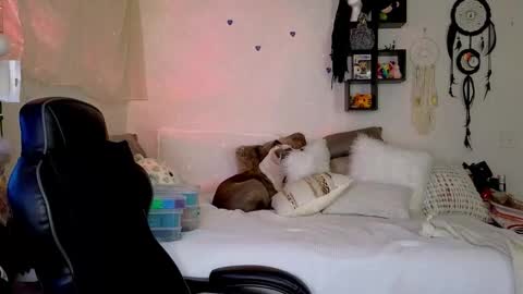 Mindy Mars online show from 01-16-26, 03:38