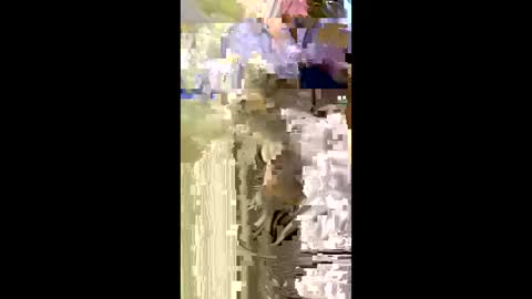 Nicol online show from 01-05-26, 07:50