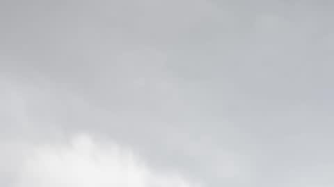 miss_divora online show from 02-05-26, 07:51