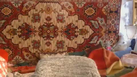 Elis online show from 11-14-25, 01:21