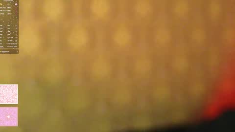 Morgan next stream tomorrow 0000 poland time online show from 01-06-26, 10:45