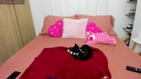 Snapshot of missangeldust chatting on 11-28-25, 12:41 missangeldust online show from 11-28-25, 12:41