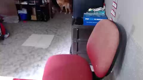 Maria Gomezz online show from 03-19-26, 04:11