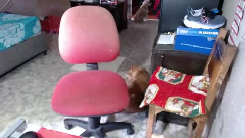 Snapshot of missgomezz_ chatting on 05-26-26, 06:04 Maria Gomezz online show from 05-26-26, 06:04