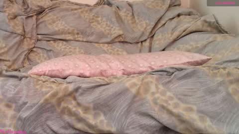  Vi  online show from 02-19-26, 11:06