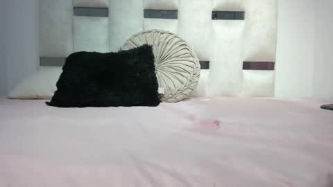 missnatasha05 online show from 09-26-25, 12:03