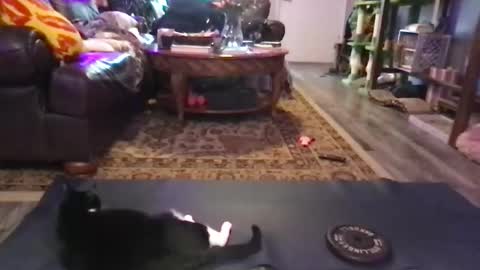 Jaxie online show from 02-02-26, 10:52