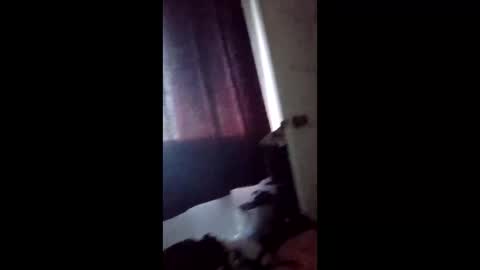 mistersins69 online show from 02-03-26, 03:17