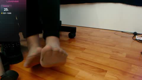 MistressEvelyn  online show from 12-19-24, 09:07