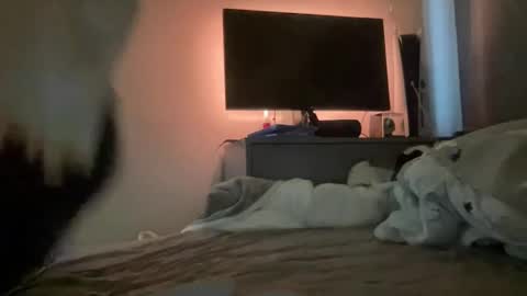 mitchellw7752 online show from 12-31-24, 12:57