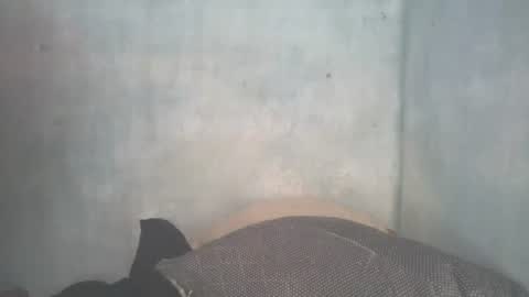 Snapshot of mitsh838354425 chatting on 07-11-26, 11:24 mitsh838354425 online show from 07-11-26, 11:24