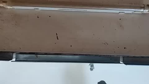 Snapshot of modelo_web18 chatting on 09-24-25, 12:08 camilo online show from 09-24-25, 12:08