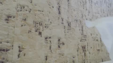 Mohito200711 online show from 01-21-25, 10:41