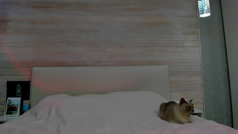 Molly Hunt online show from 03-01-26, 04:58