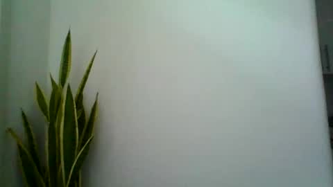 mollypepe online show from 09-09-25, 09:42