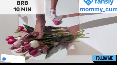 Snapshot of mommy_cum chatting on 01-23-25, 08:25 Mommy online show from 01-23-25, 08:25