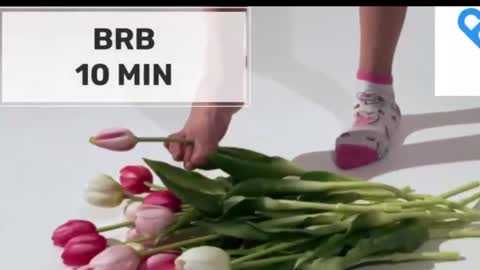 Mommy online show from 10-15-25, 02:22