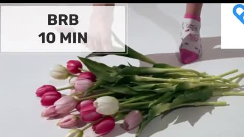 Mommy online show from 10-28-25, 02:04