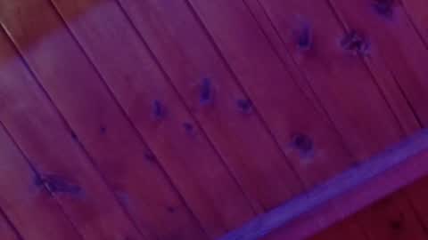 Monica Rosse online show from 02-04-26, 04:29