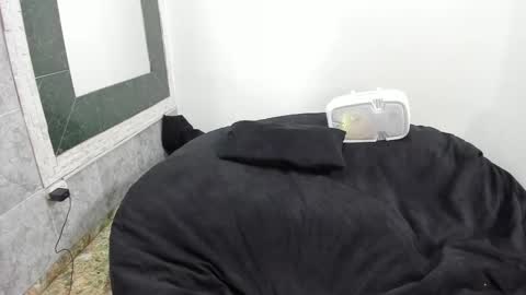 Snapshot of monkeyd_66 chatting on 02-18-25, 09:10 monkeyd_66 online show from 02-18-25, 09:10