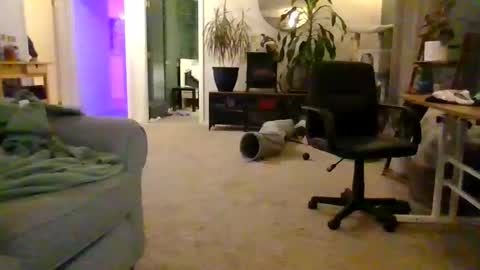 moonbutterfly94 online show from 05-16-26, 10:36
