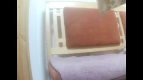 Snapshot of moos1 chatting on 03-02-26, 02:47 moos1 online show from 03-02-26, 02:47