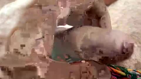 Me online show from 01-07-26, 07:11