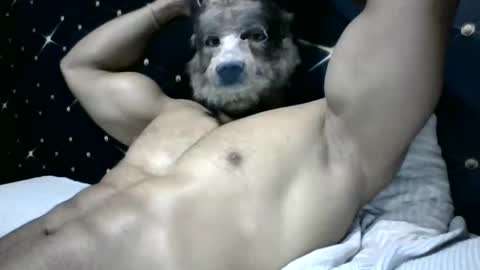 moreno1muscular online show from 03-04-25, 09:11