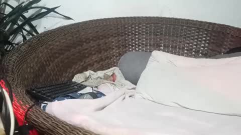 Snapshot of moreno_lutador chatting on 02-17-25, 04:31 John john online show from 02-17-25, 04:31