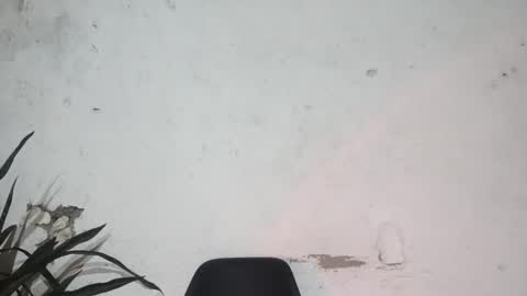Snapshot of moreno_lutador chatting on 02-24-25, 06:27 John john online show from 02-24-25, 06:27