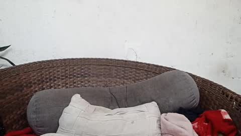 Snapshot of moreno_lutador chatting on 03-05-25, 08:00 John john online show from 03-05-25, 08:00