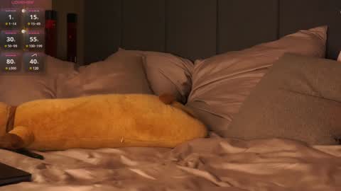 morphe online show from 12-20-24, 11:26