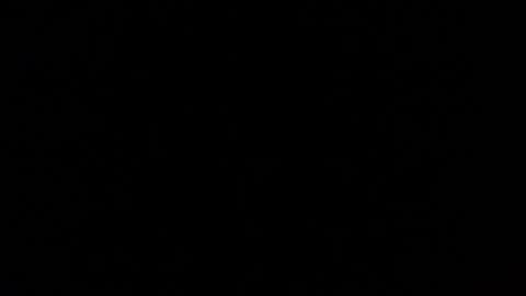 Snapshot of mospeleu chatting on 03-01-25, 05:49 Nomadu online show from 03-01-25, 05:49