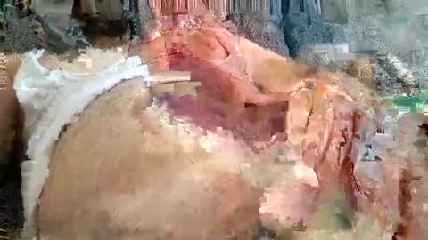 Arab boy online show from 11-24-25, 12:05