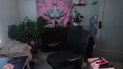 Snapshot of mousiegirl chatting on 02-27-26, 07:47 Mousie online show from 02-27-26, 07:47