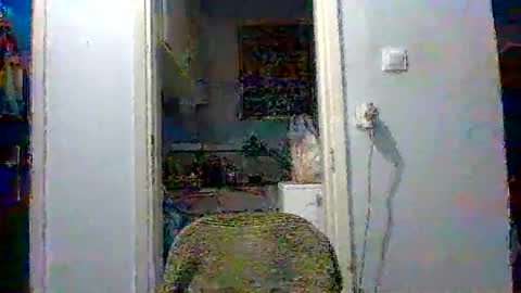 mppempis81 online show from 12-04-25, 03:32