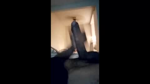 mr_donkey23 online show from 02-08-26, 02:53