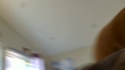 Sterling  Lena online show from 08-07-26, 01:29