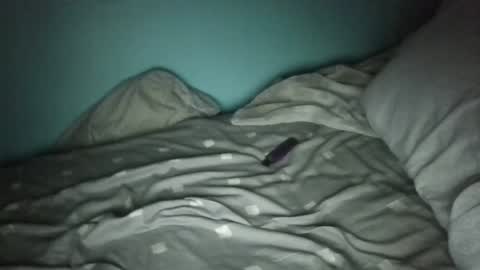 mrbig47xo online show from 02-09-26, 06:28