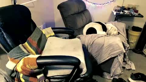 Snapshot of mrbiggintx chatting on 04-12-26, 11:48 mrbiggintx online show from 04-12-26, 11:48